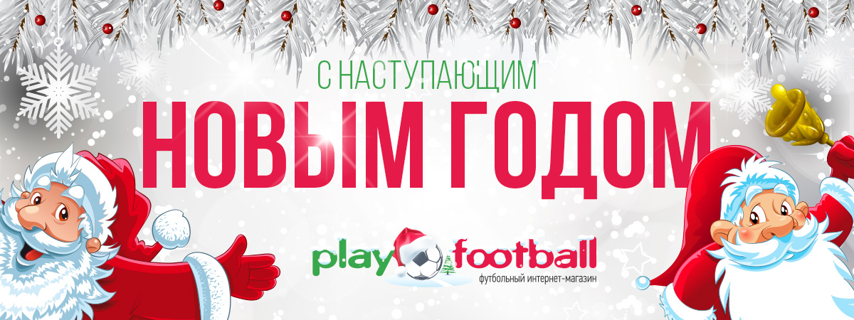 Новый год 2019 