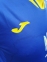 Футбольная форма сборной Украины Евро 2020 для болельщиков синяя 7