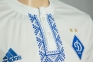 Футбольная форма Динамо Киев сезон 2016/2017 дом 9