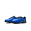 Детские сороконожки Nike Legend 7 Academy TF (AH7259-400) 2