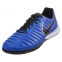Футзалки Nike Tiempo Lunar Legend 7 Pro IC (AH7246-400) 5