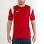 Футбольная форма Joma Dinamo (100446.600) 0
