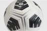 Футбольный мяч Nike Club Elite (FZ7544-100) 2