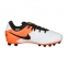 Детские футбольные бутсы Nike JR Tiempo Legend VI AG (833676-108) 2