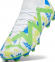 Футбольные бутсы Puma Future Neymar Match FG AG (107612-01) 2