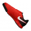 Детские сороконожки Nike JR TiempoX Ligera IV TF (897729-616) 0