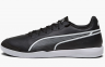 Футзалки Puma King Pro IN (107256-01) 0