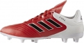 Футбольные бутсы Adidas Copa 17.3 FG (BB3555) 2