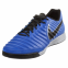Футзалки Nike Tiempo LegendX 7 Academy IC (AH7244-400) 2