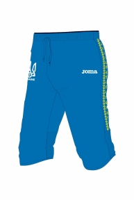 Бриджи тренировочные сборной Украины Joma (FFU205021.17)