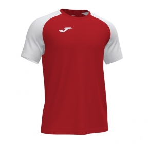 Футболка Joma ACADEMY IV (101968.602)