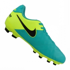 Футбольные детские бутсы Nike JR Tiempo Legend VI FG (819186-307)