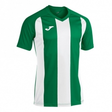 Футболка Joma PERFORMANCE MULTISPORT (102243.452)
