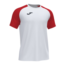 Футболка Joma ACADEMY IV (101968.206)