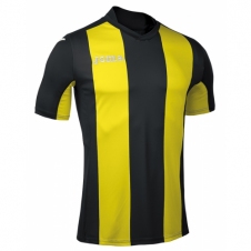 Футболка Joma Pisa V (100403.109)