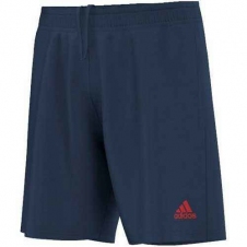 Футбольные шорты Adidas для арбитра REF 14 SHO WB (G77220)