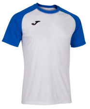 Футболка Joma TEAMWORK (102218.207)
