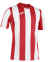 Футболка Joma INTER (101287.602)