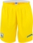 Шорты сборной Украины Joma игровые желтые (FFU105011.18)