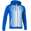 Олимпийка Joma SUPERNOVA (101285.702)