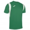 Футбольная форма Joma Dinamo (100446.450)