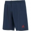 Футбольные шорты Adidas для арбитра REF 14 SHO WB (G77220)