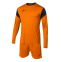 Вратарская форма Joma Phoenix (102858.881)