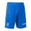 Шорты тренировочные сборной Украины Joma свободный крой (regular)