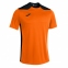 Футболка Joma CHAMPIONSHIP VI (101822.881)
