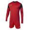 Вратарская форма Joma Phoenix (102858.601)
