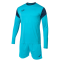 Вратарская форма Joma Phoenix (102858.013)