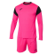 Вратарская форма Joma Phoenix (102858.031)